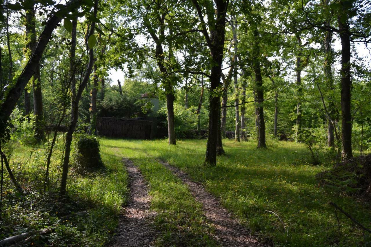 Ferme De Mouline Villa Sainte-Foy-la-Longue Kültér fotó